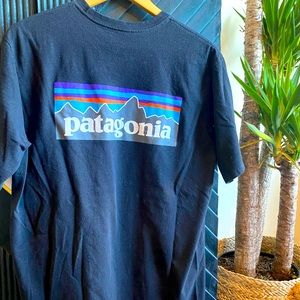 PATAGONIA MENS GRAPHIC TEE MED